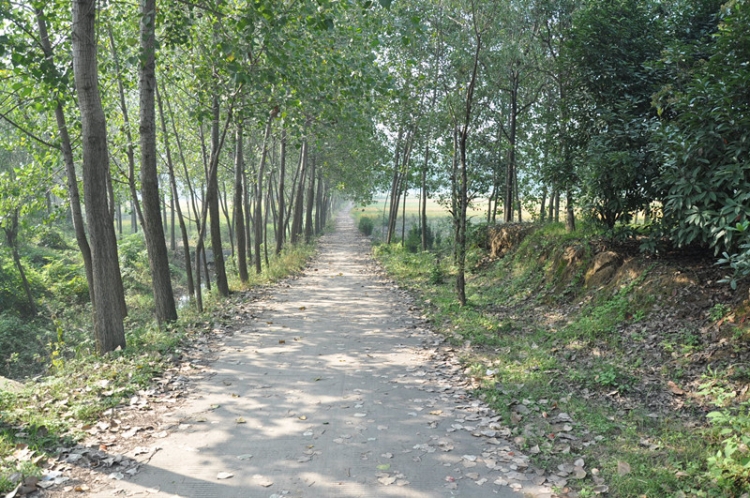 DSC_0128_副本.jpg