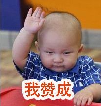 我赞成.jpg