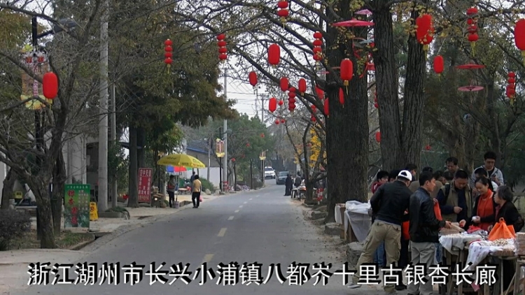 【2011-11-14】追秋八都岕-长兴银杏长廊游[AVCHD格式]1920x1080p【高清原版】[19-33-1.jpg
