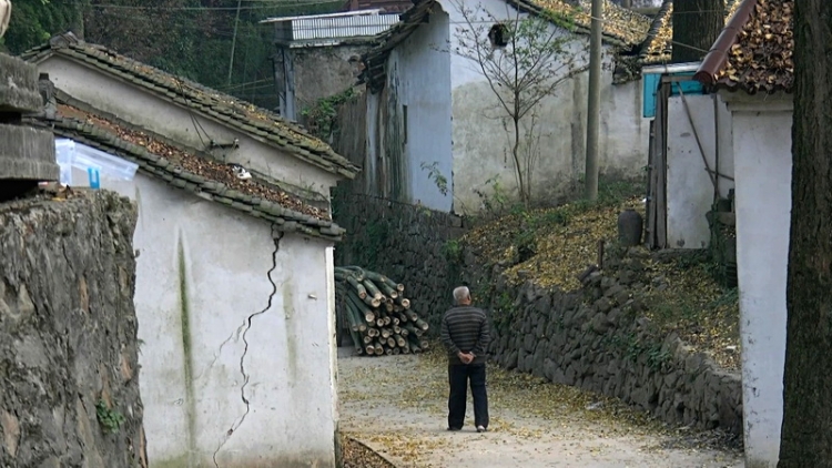 【2011-11-14】追秋八都岕-长兴银杏长廊游[AVCHD格式]1920x1080p【高清原版】[19-35-2.jpg