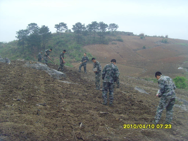 SNV35406.jpg
