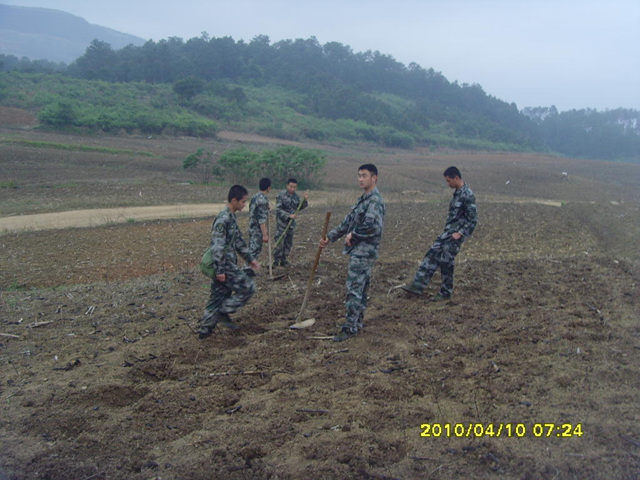 SNV35407.jpg