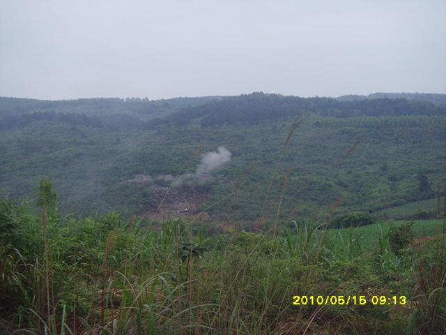 SNV35497.jpg