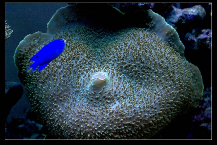DSC_0034.jpg