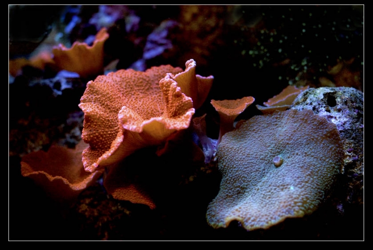DSC_0016.jpg