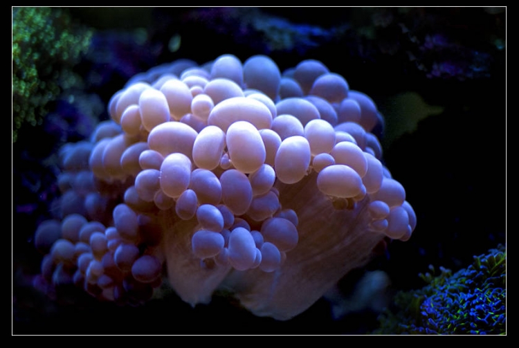DSC_0006.jpg