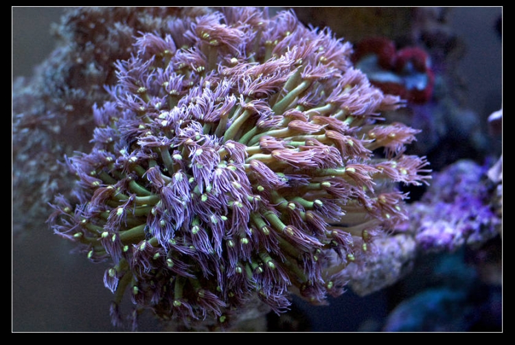 DSC_0027.jpg
