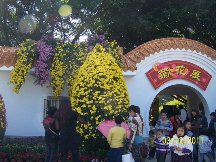 107_8817.JPG