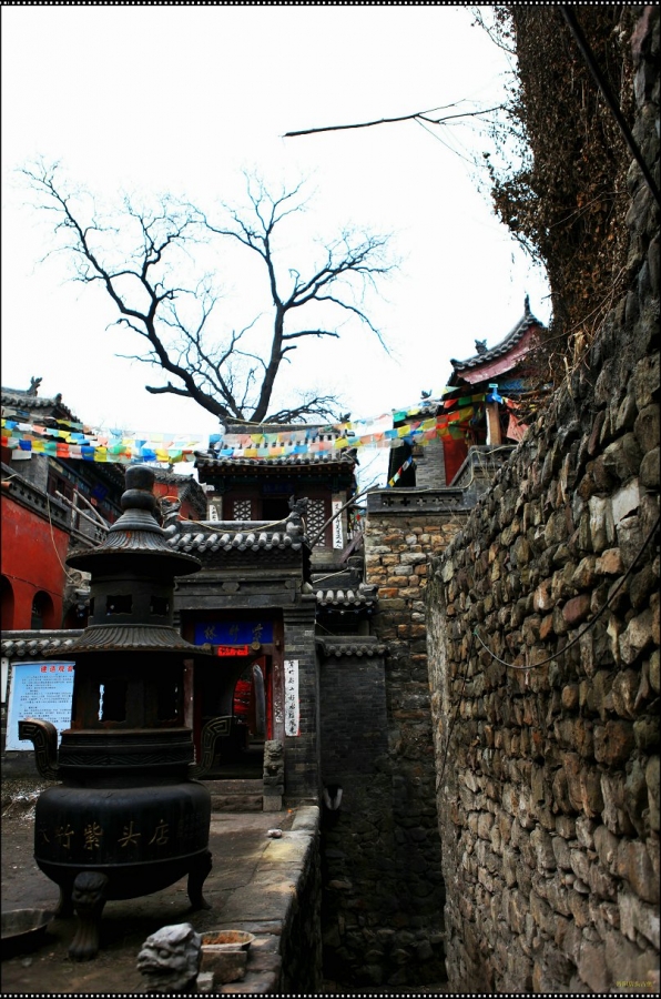 IMG_9460.jpg
