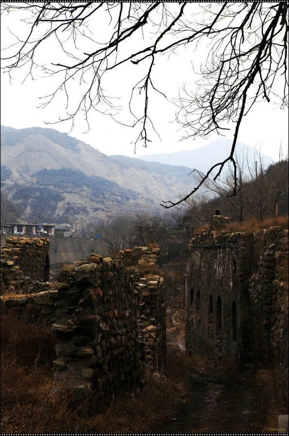 IMG_9487.jpg