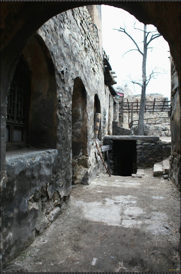 IMG_9509.jpg