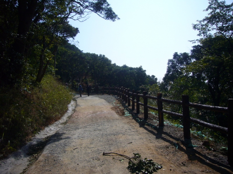 P1130904.JPG