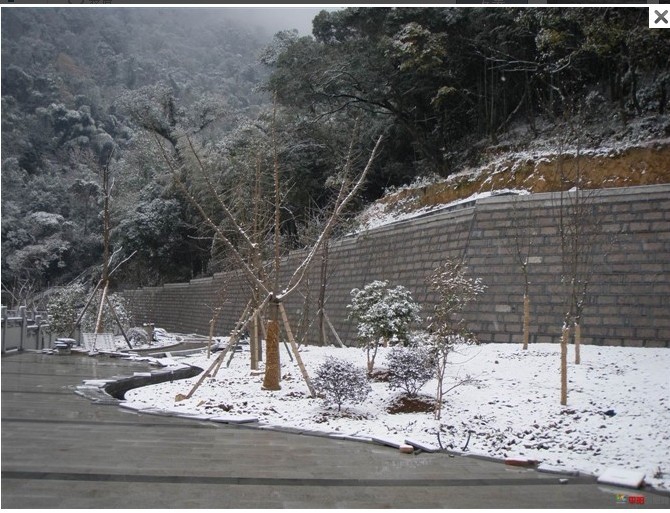 1012.1.5东门山雪3.jpg