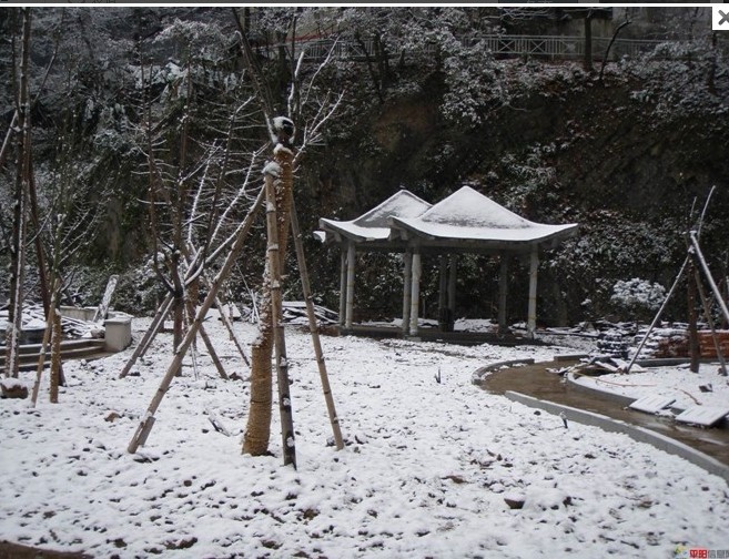1012.1.5东门山雪6.jpg