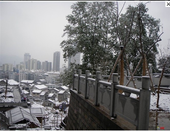 1012.1.5东门山雪7.jpg