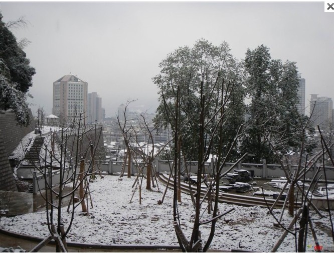 1012.1.5东门山雪8.jpg