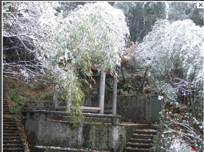 1012.1.5东门山雪10.jpg