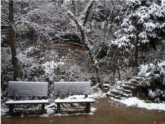 1012.1.5东门山雪11.jpg
