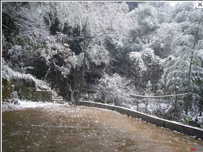 1012.1.5东门山雪12.jpg