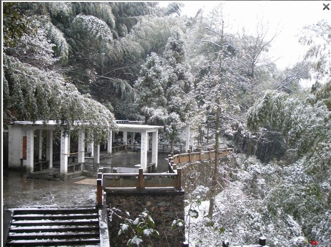 1012.1.5东门山雪13.jpg