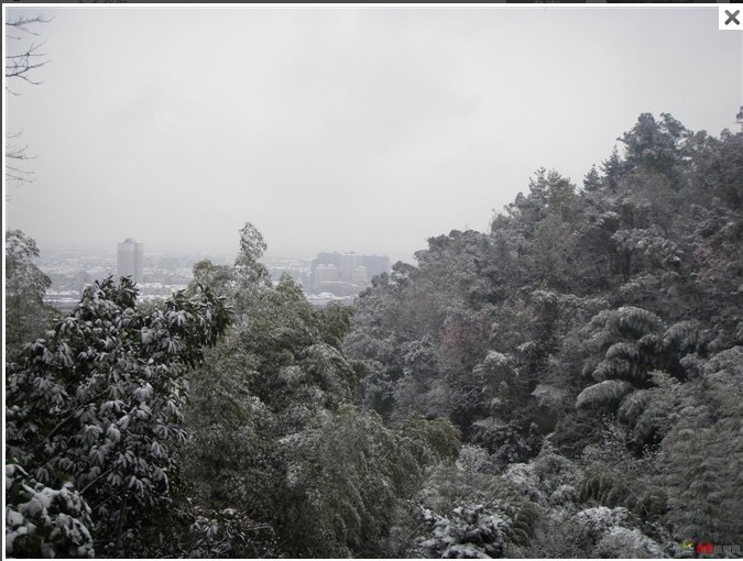 1012.1.5东门山雪16.jpg
