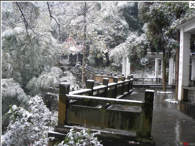 1012.1.5东门山雪17.jpg