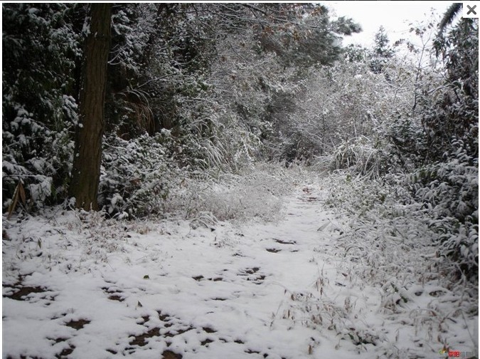 1012.1.5东门山雪20.jpg