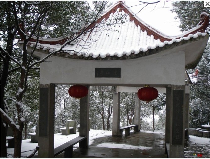 1012.1.5东门山雪23.jpg