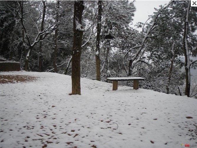 1012.1.5东门山雪21.jpg