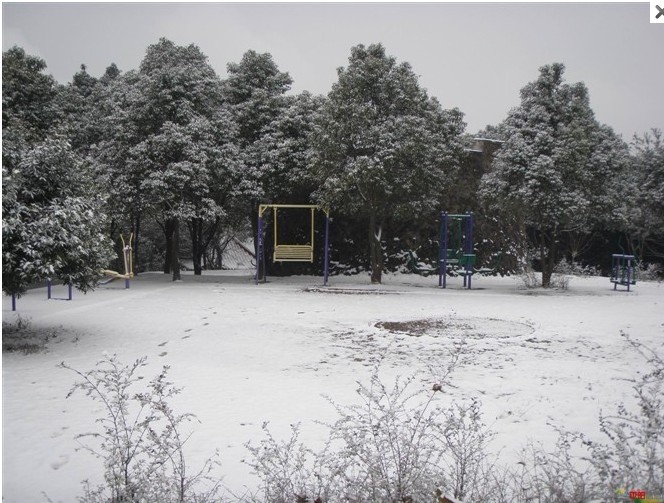 1012.1.5东门山雪25.jpg