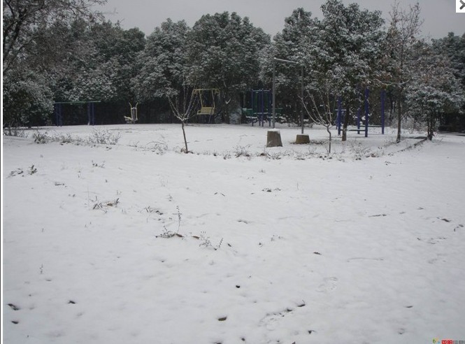 1012.1.5东门山雪28.jpg