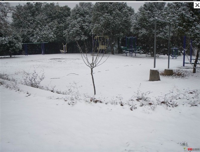 1012.1.5东门山雪26.jpg