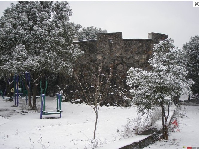 1012.1.5东门山雪29.jpg