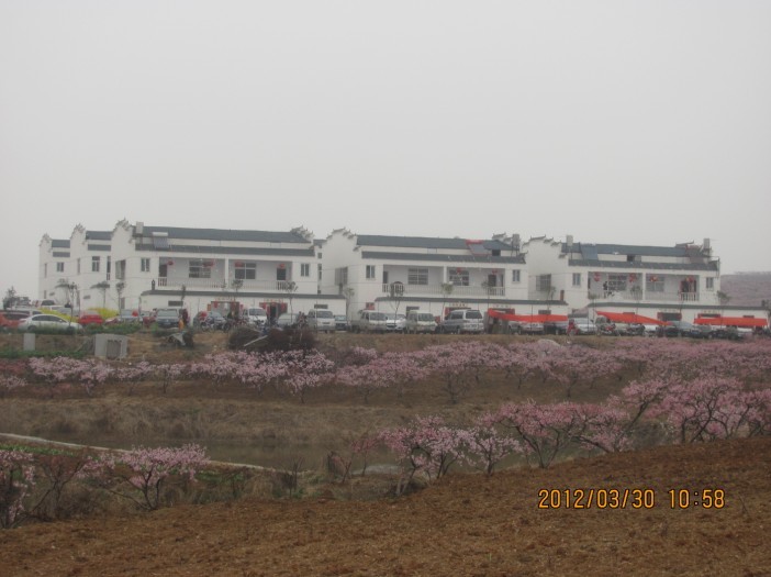 未命名001.jpg