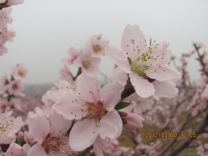 未命名017.jpg