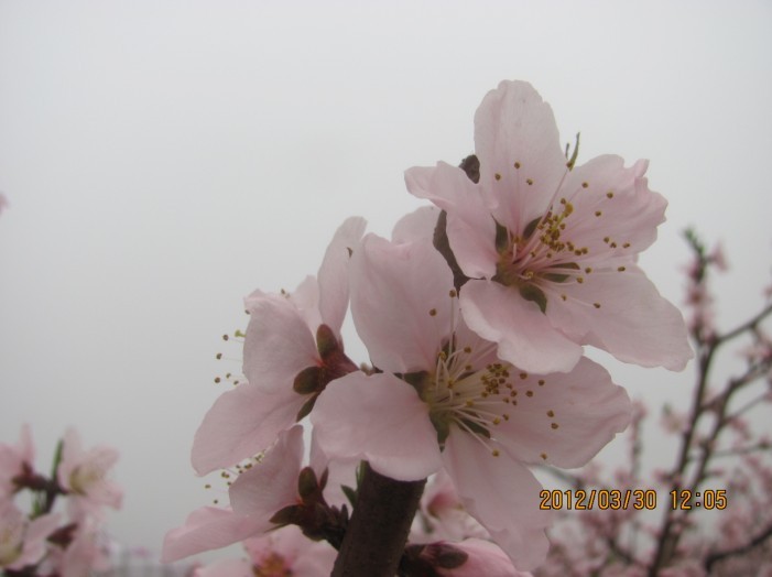 未命名018.jpg