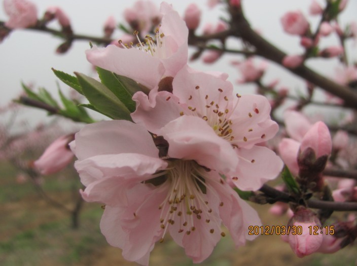 未命名021.jpg
