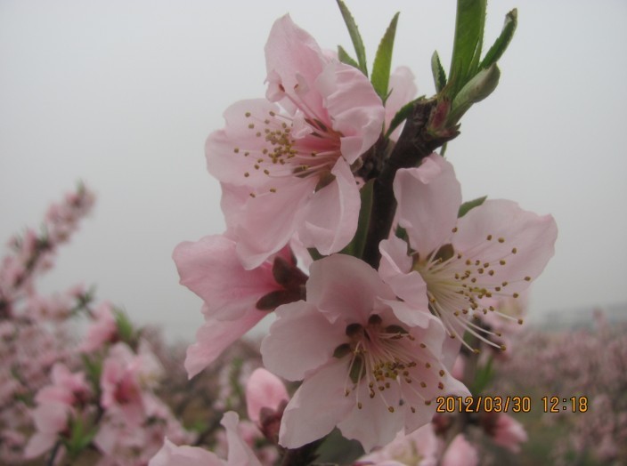 未命名022.jpg