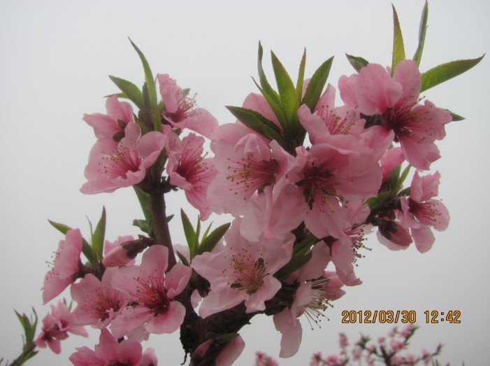 未命名025.jpg