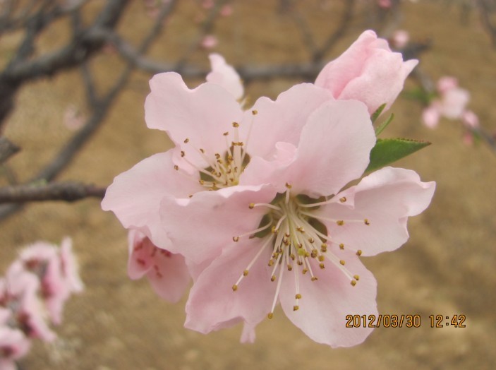 未命名024.jpg