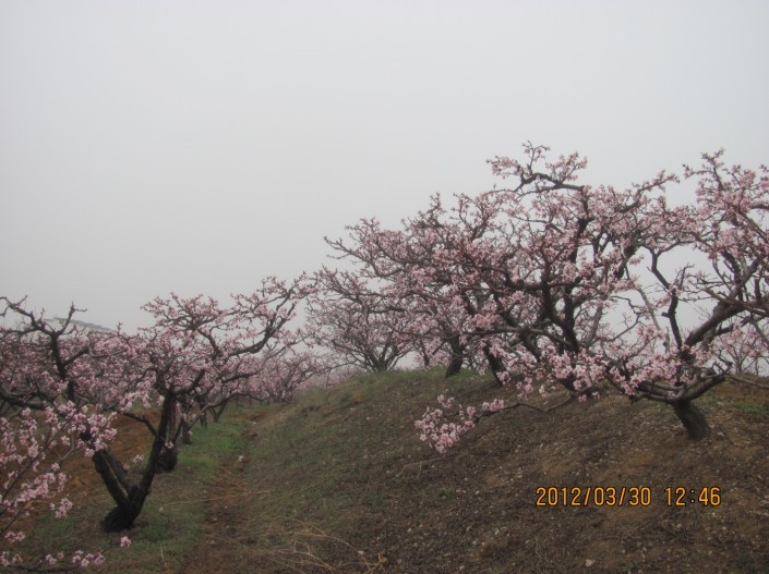 未命名027.jpg