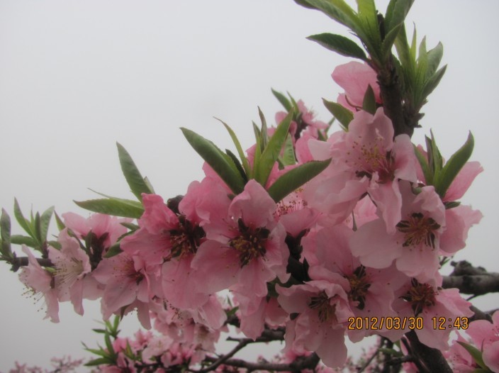 未命名026.jpg