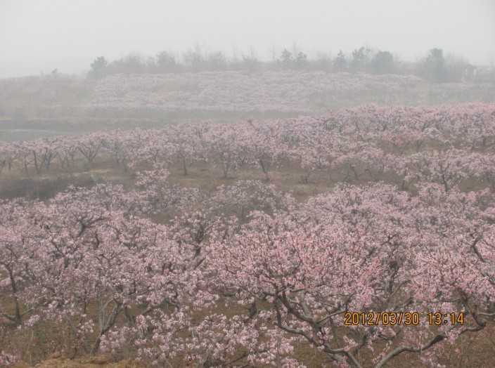 未命名032.jpg