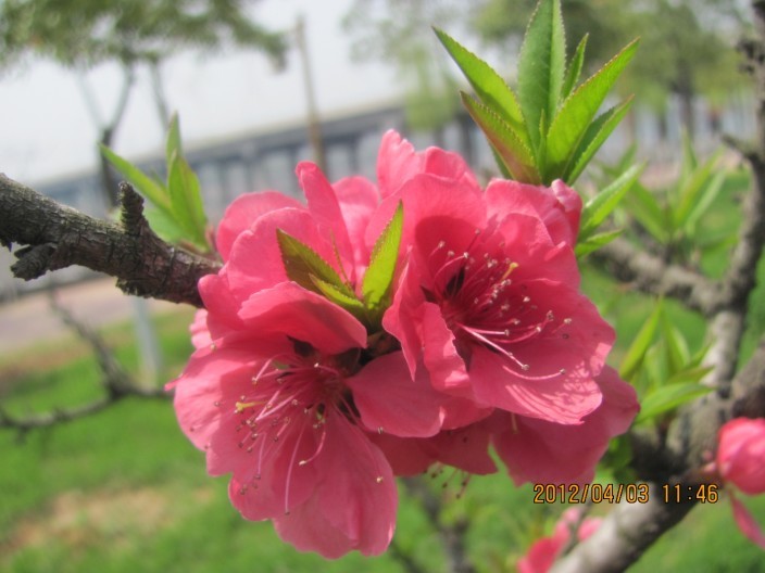 A001.jpg
