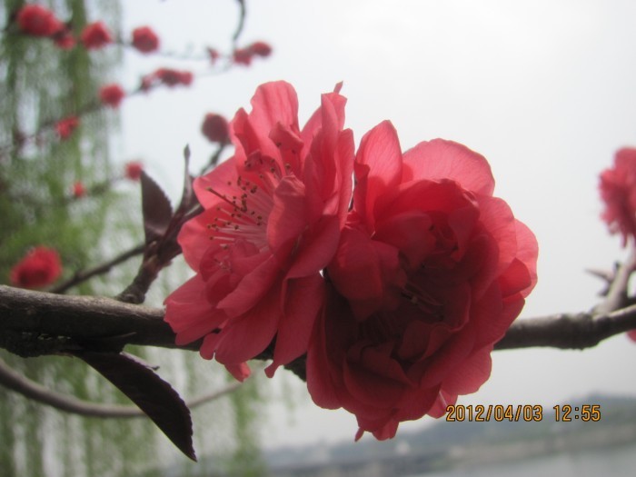 A010.jpg