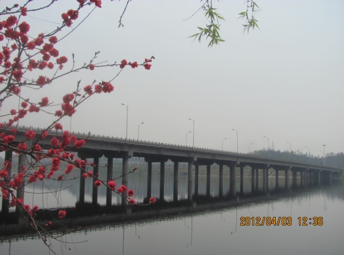 A009.jpg