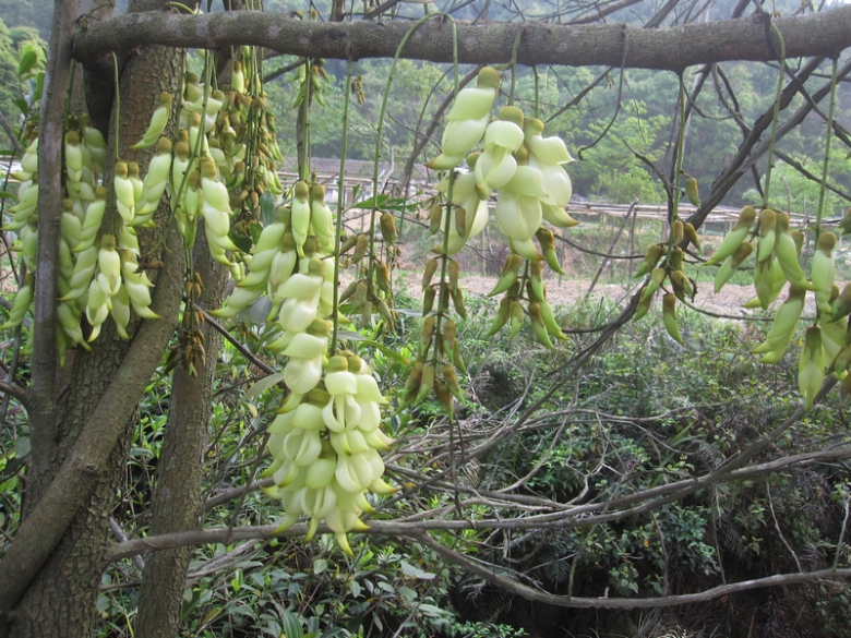 20120403 012.jpg