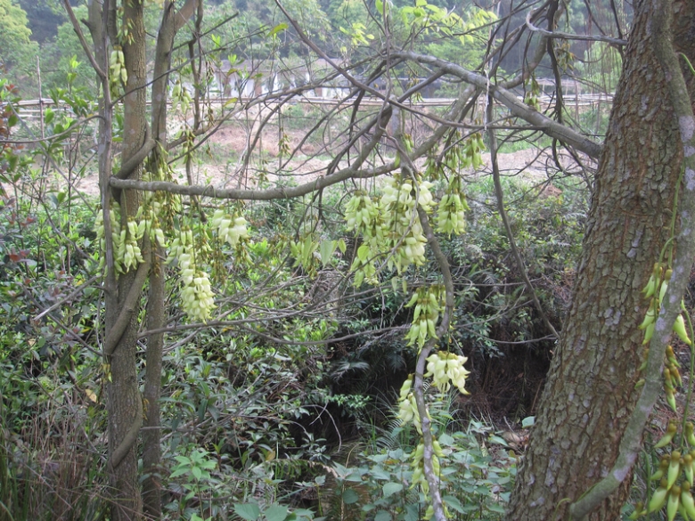 20120403 009.jpg