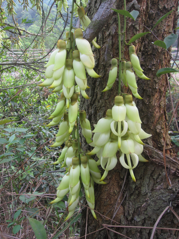 20120403 010.jpg