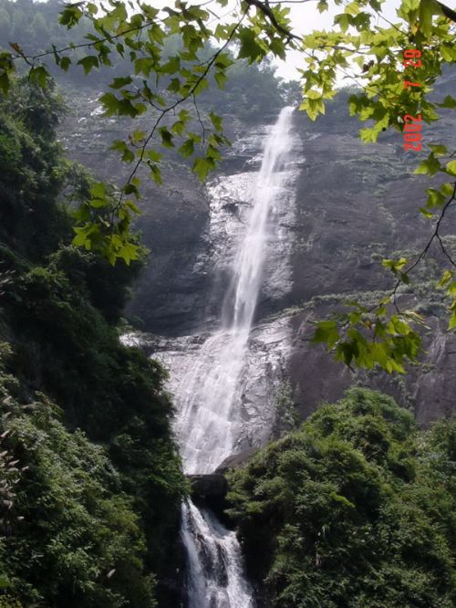 2009122145736[1].jpg